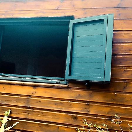 Tiny House Les Cactus - Bungalow St Gilles Les Hauts Saint-Paul Dış mekan fotoğraf